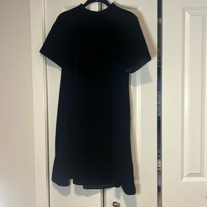 & Other Stories Size 8 Velvet Dress
